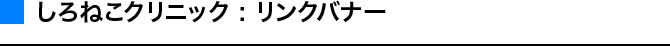 アメリカンキャンパス : リンクバナー